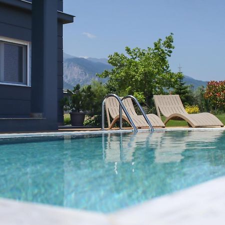 Zeusplace Pool Villa Olympus Riviera Litochoro Exterior photo